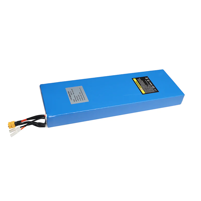 Battery Pack Dual Motor - Dualtron Aminia Long Body | 02.201.00324