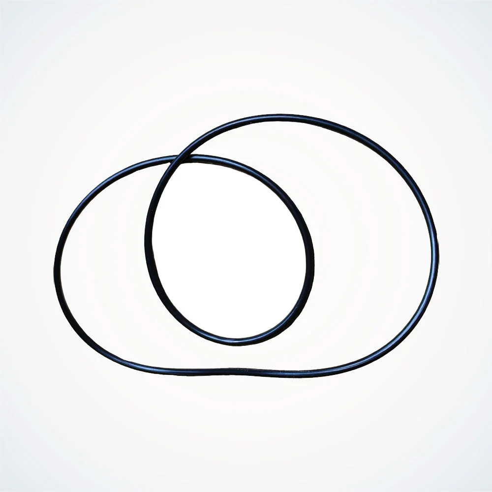 Motor Sealing Ring - Dualtron | 03.017.00312