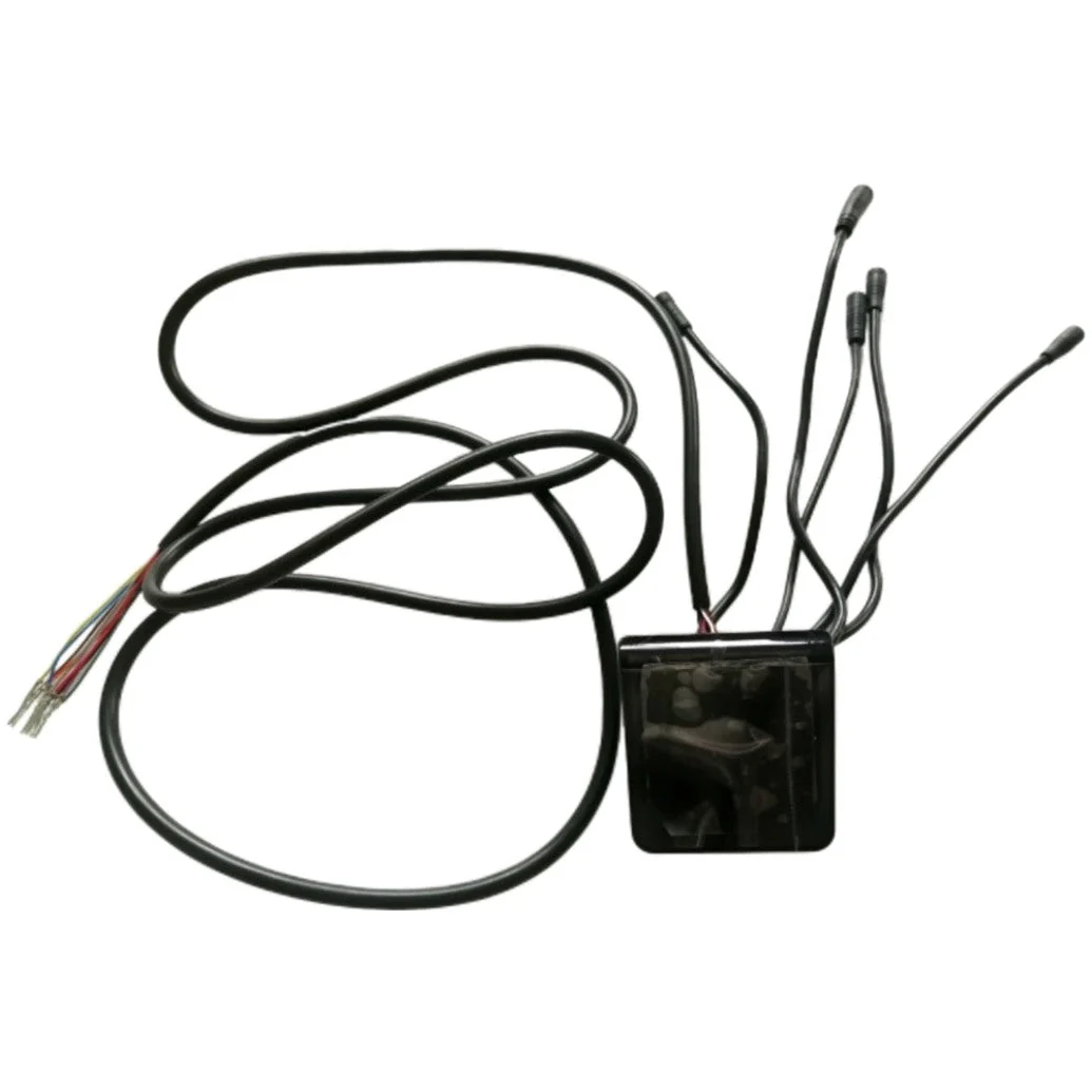 EY2 Display With Cruise Control - Dualtron Togo LTD | 02.204.00107